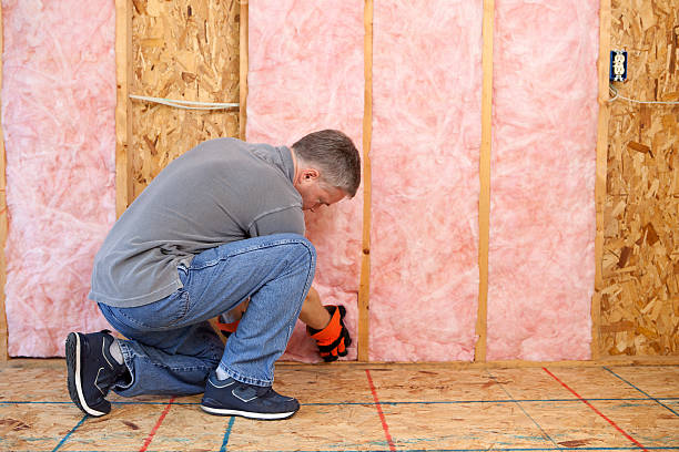 Best Wall Insulation Installation  in Mino Tassajara, CA